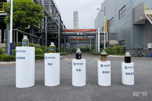 地沟油如何变生物柴油 央广网记者实地探访揭秘