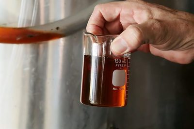 纯生物柴油