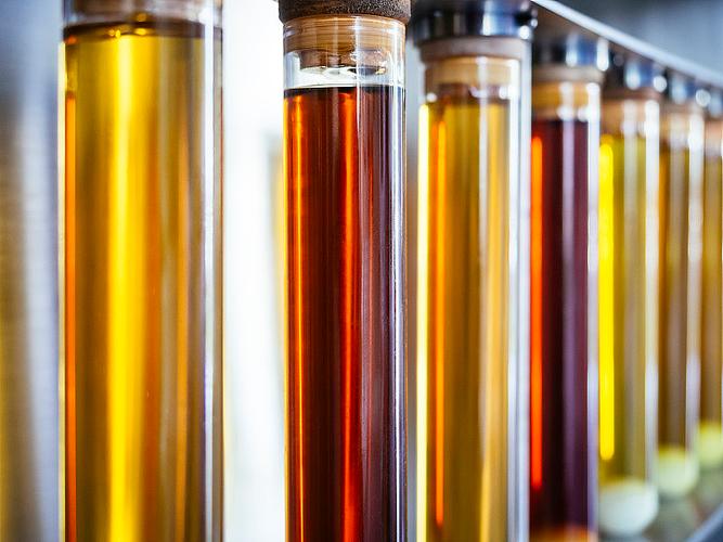 科技生物素材-科技生物图片-科技生物素材图片下载-第4页-觅知网