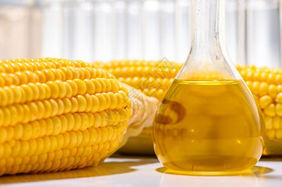 生物柴油产是在实验室物燃料和柴油的过程