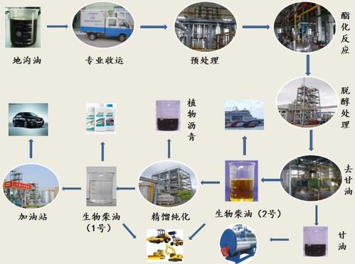 潲水油用途是什么 有哪些鉴别方法 潲水油如何变废为宝