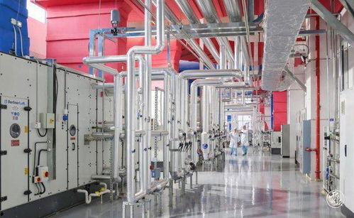 乘势而上 云南打造生物制品产业高地——抢抓疫苗、血液制品与生物柴油战略机遇期