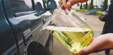 二代生物柴油技术成熟，如何精准把握市场机遇？