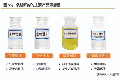 生物柴油行业专题报告 减碳大势难逆，赛道光华渐显