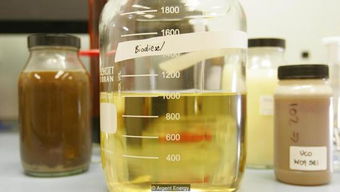 废物变身能源 探索粪尿的生物能源潜能