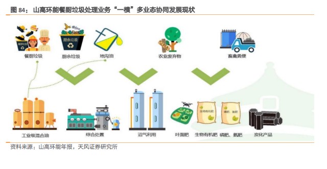 生物柴油行业深度研究:全球减碳推高需求,中国产业链有望受益