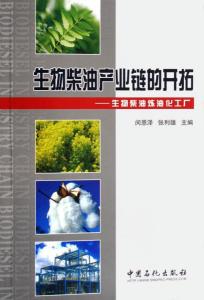 生物柴油产业链的开拓 从炼油化工厂到绿色能源未来